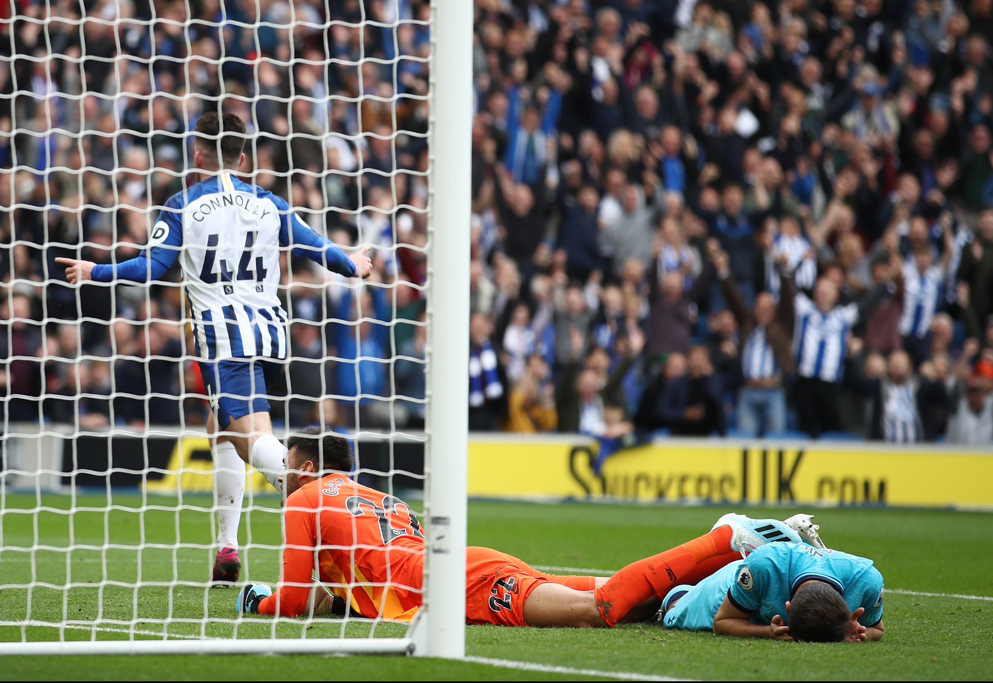 现出了强劲 现出了强劲